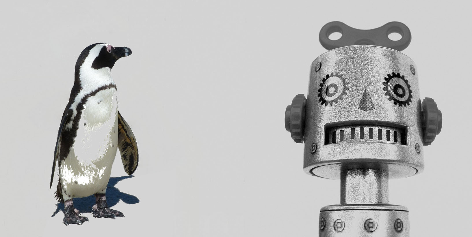 Penguin looking at robot