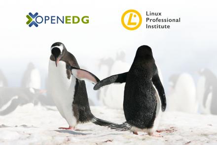 OpenEDG Training Platform Collaborates with LPI on Certifications