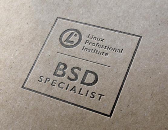 BSD Specialist logo on paper background