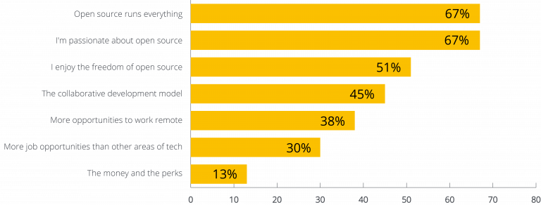 Why professionals choose careers in open source