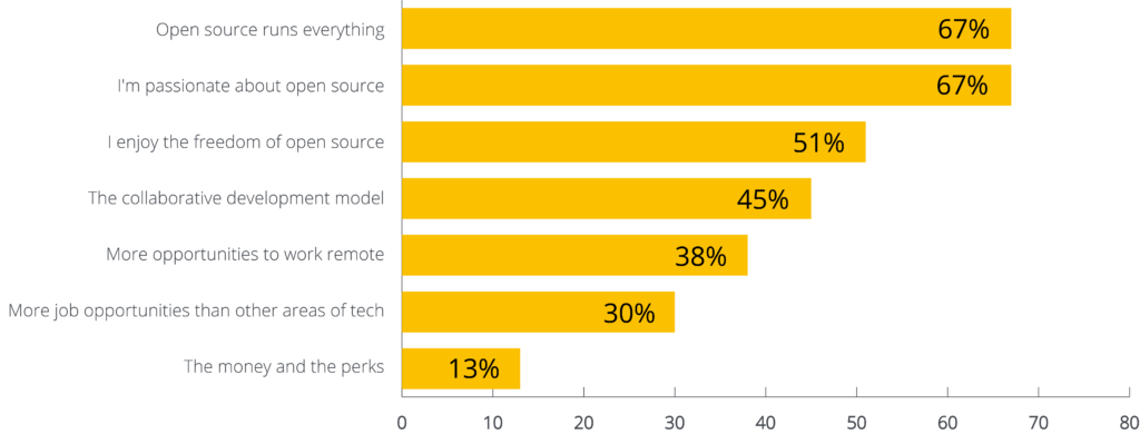 Why professionals choose careers in open source